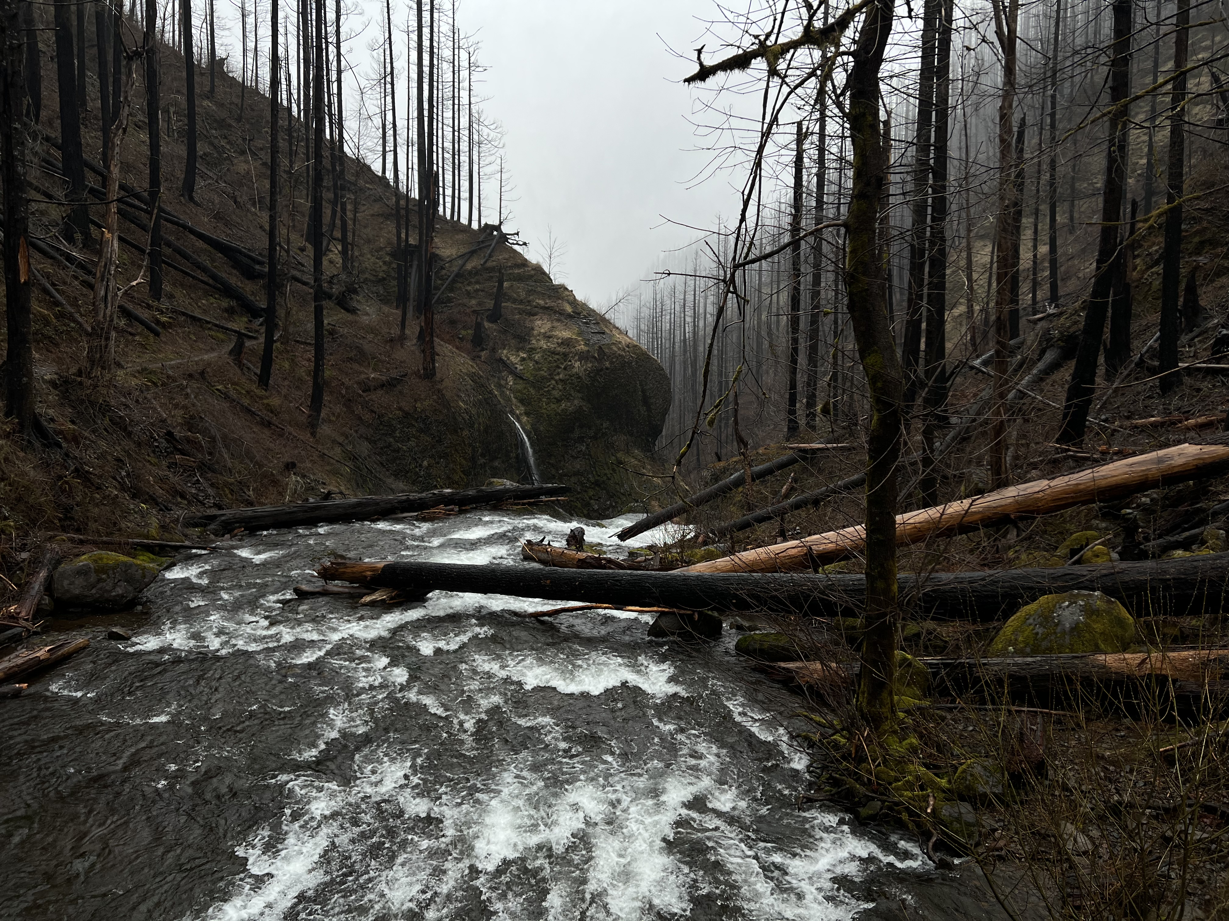 Image of a valley with a river and trees all around. It's overcast and dark.